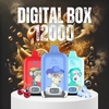 RandM Digitalbox 12000 Vape Kaufen Cover